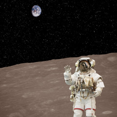 Astronaut posing on the moon. The elements of this image furnished by NASA.