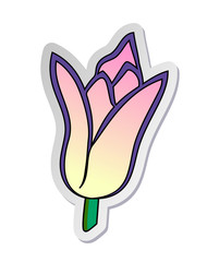 Vector illustration, sticker of pink tulip flower in flat cartoon style isolated on white background
