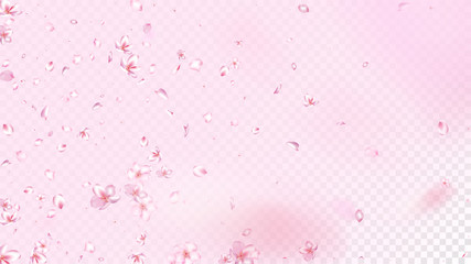 Nice Sakura Blossom Isolated Vector. Summer Showering 3d Petals Wedding Texture. Japanese Blooming Flowers Wallpaper. Valentine, Mother's Day Spring Nice Sakura Blossom Isolated on Rose