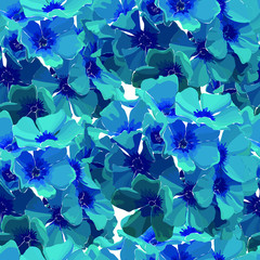Seamless background of phloxes. Hydrangea. Vector illustration, EPS 10