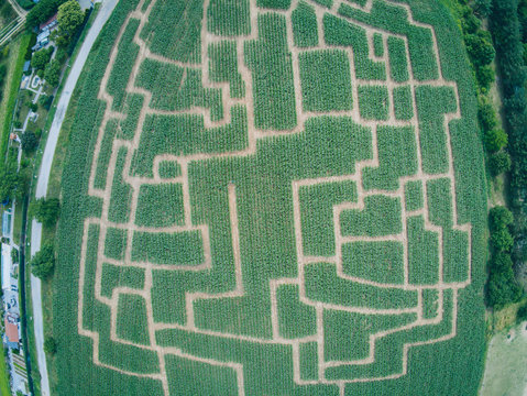 Event Labyrinth im Maisfeld in Brno-Komin von oben, Tschechische Republik