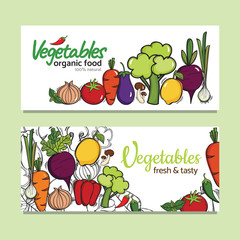 Hand drawn illustration with vector organic vegetables. Creative concept healthy food.