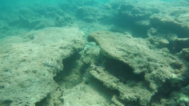 Enigmatic sea bottom with strange figures in Alanya in summer in slow motion  