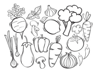 Hand drawn illustration with vector organic vegetables. Creative concept healthy food.