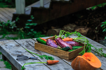 Group of Colorful vegetables on a basket. Garden wooden table.