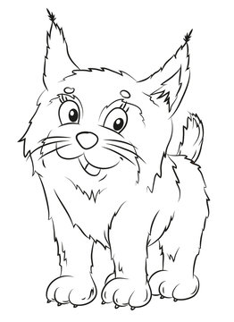 animals coloring for kids, pets and wild animals