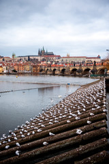 Prague Winter Markets River