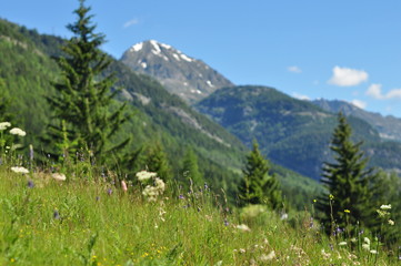 Fototapeta na wymiar montagne vue depuis la vallée en été