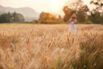 Romantic woman happy relax listening music in golden fields of barley