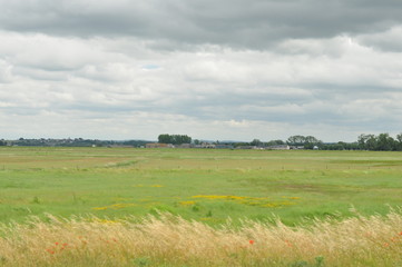 panorama avec prés salés, ciel nuageux et arbres à l'horizon