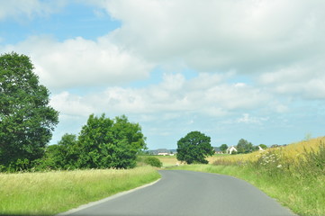 pastel avec route entre arbres et collines en été