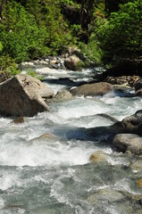 eau de montagne et roches en été