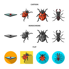 Vector illustration of insect and beetle logo. Collection of insect and halloween stock symbol for web.