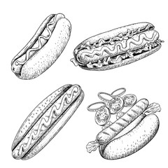 Hot dogs set. Hand drawn sketch style illustration. Fast food. Hot dog constructor with sausage, tomato, onion rings and lettuce. Best for street food designs. Isolated on white.