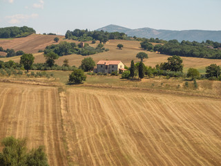 Fototapeta na wymiar typical landscape of central Italy. .