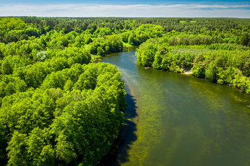Top view of the river winding among the forest, Poland