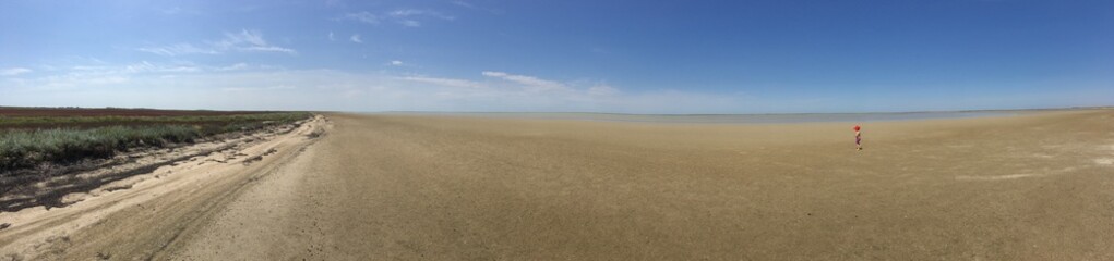 Nature of swamp lake in the desert