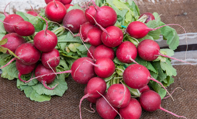 red radishes with verses leaves
