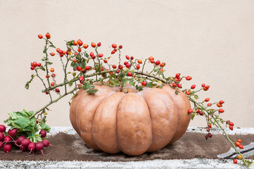 composition of red berries and pumpkin