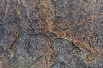 Background of rock surface