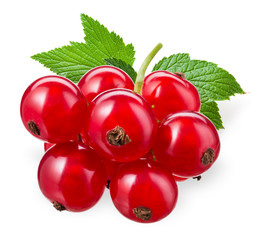 Currant red isolated. Currants on white. Currant on branch.