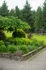 landscape design. beautiful nature