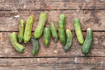 Old cucumbers on wooden background