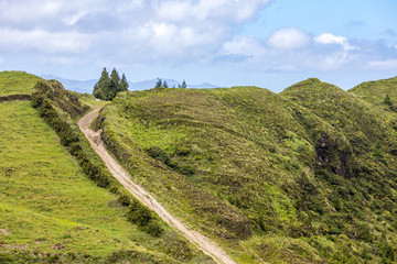 Meadows and pastures in the mountains of Sao Miguel, Azores