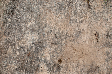 Naklejka premium Gray texture of old wall