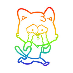 rainbow gradient line drawing crying cartoon cat