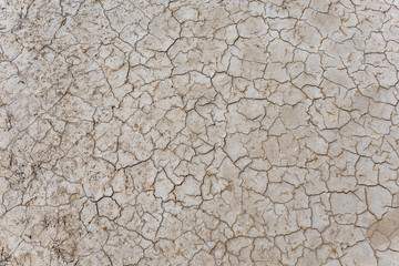 Drought, thirst, cracked earth. Ecological problems. Lack of water.