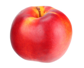 One nectarine isolated on a white background