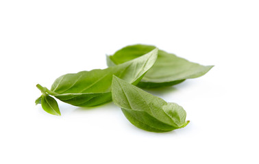 Basil leaves in closeup on white background