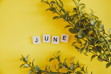 The inscription june on the letters of the keyboard on a yellow background with branches flowers