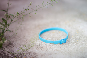 flea removal. blue collar for the cat.