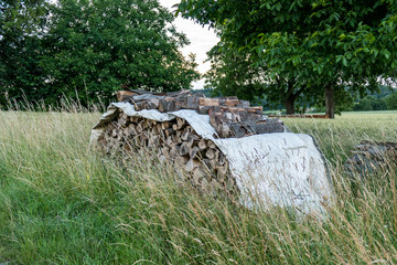 Brennholz gestapelt und abgedeckt zum trocknen © focus finder