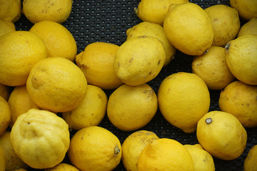 fresh yellow lemons. lots of lemons. background of lemons