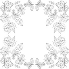 vector drawing leaves