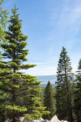 View from the top of the mountain to the national park. Photo wallpaper