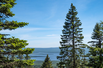 View from the top of the mountain to the national park. Photo wallpaper