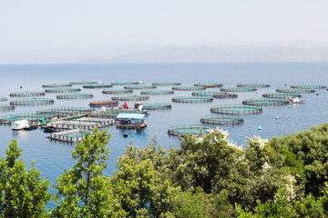Fototapeta na wymiar Fish farm with cages floating in the greek sea