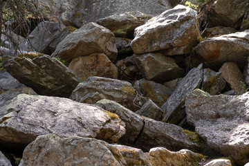 Climbing a mountain from a stone of a krumnik and coniferous trees. Wall mural
