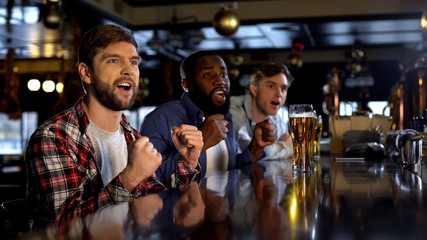 Happy sport fans watching tournament in pub, cheering for favorite team, victory