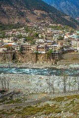 Obraz premium Cedar trees and mountain town