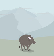 vector illustration of a boar that stands in nature