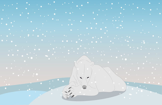 vector illustration of a polar bear, which lies in the snow