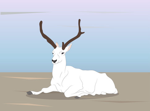 vector illustration of a deer that lies on nature