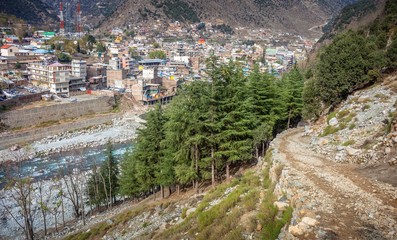 Fototapeta premium Cedar trees and mountain town