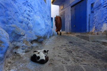 Blue street walls of the popular city of Morocco, Chefchaouen. Traditional moroccan architectural details - 275642236