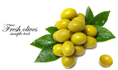 Fresh olives on a white background